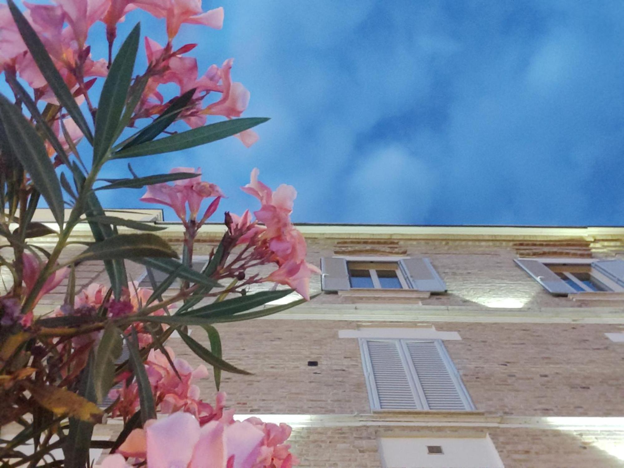 Villa Contessina Cossignano Exterior photo